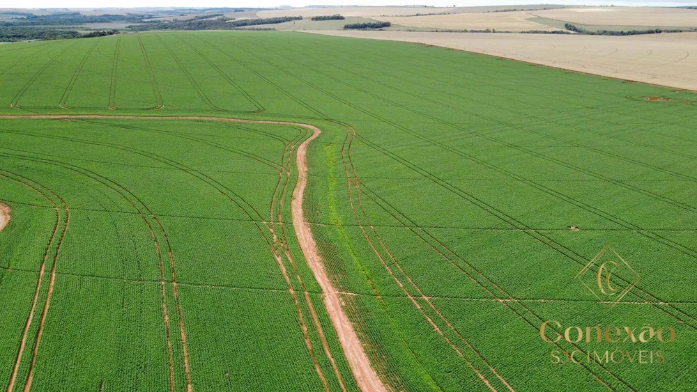 Fazenda, 1660 hectares - Foto 2
