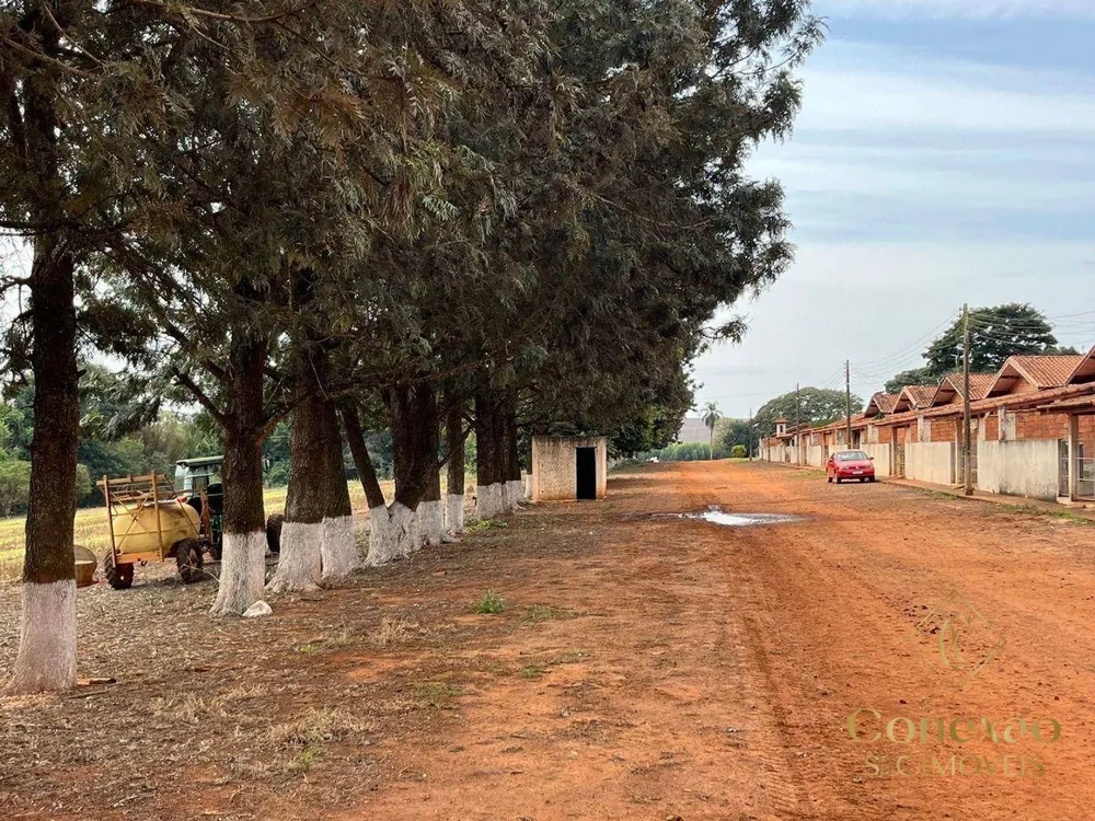 Fazenda, 1660 hectares - Foto 4