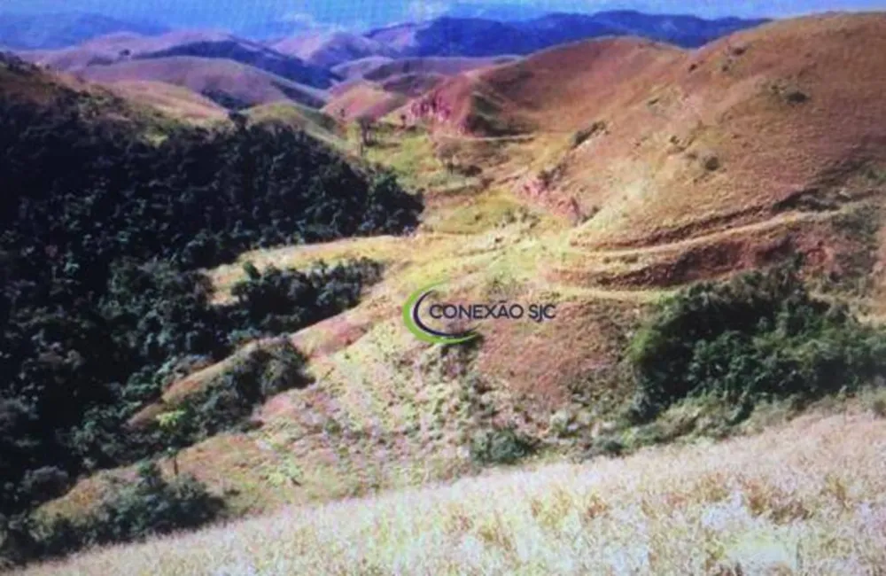Fazenda, 242 hectares - Foto 2
