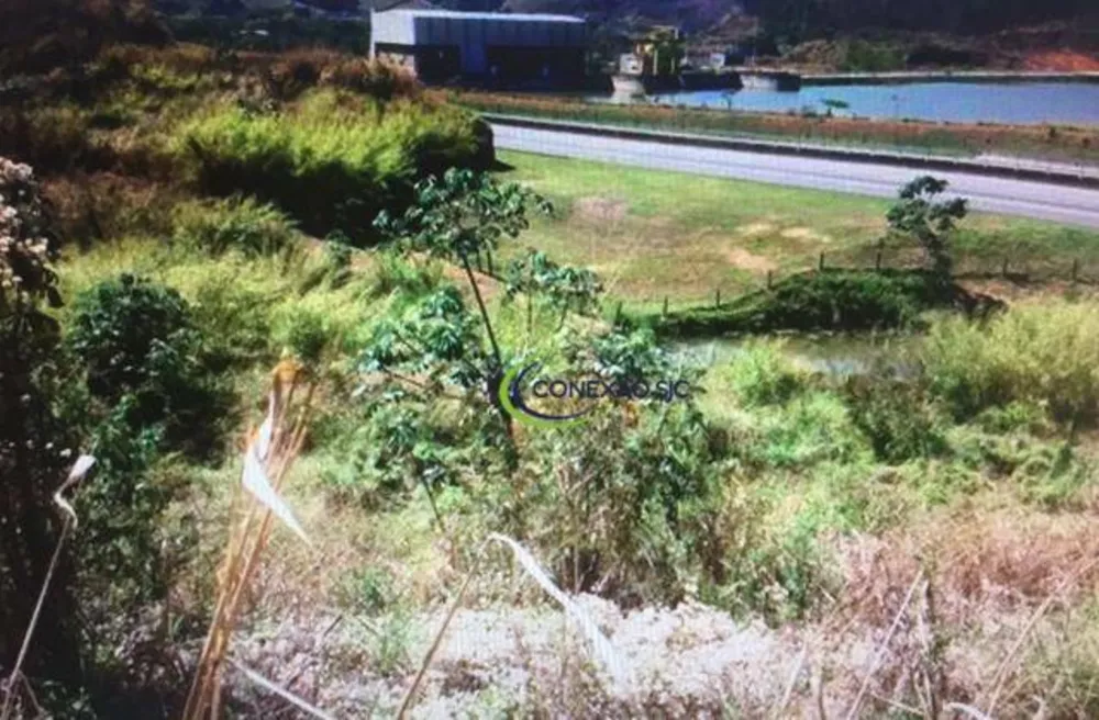 Fazenda, 242 hectares - Foto 3