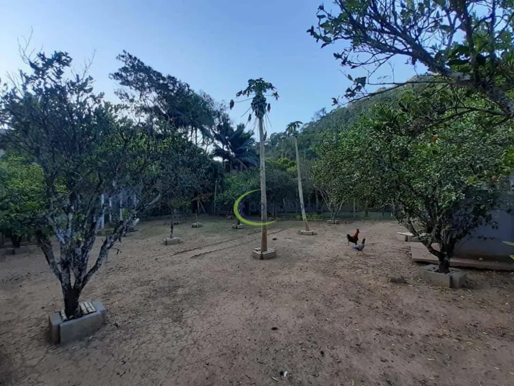 Chácara, 4 quartos, 2 hectares - Foto 2