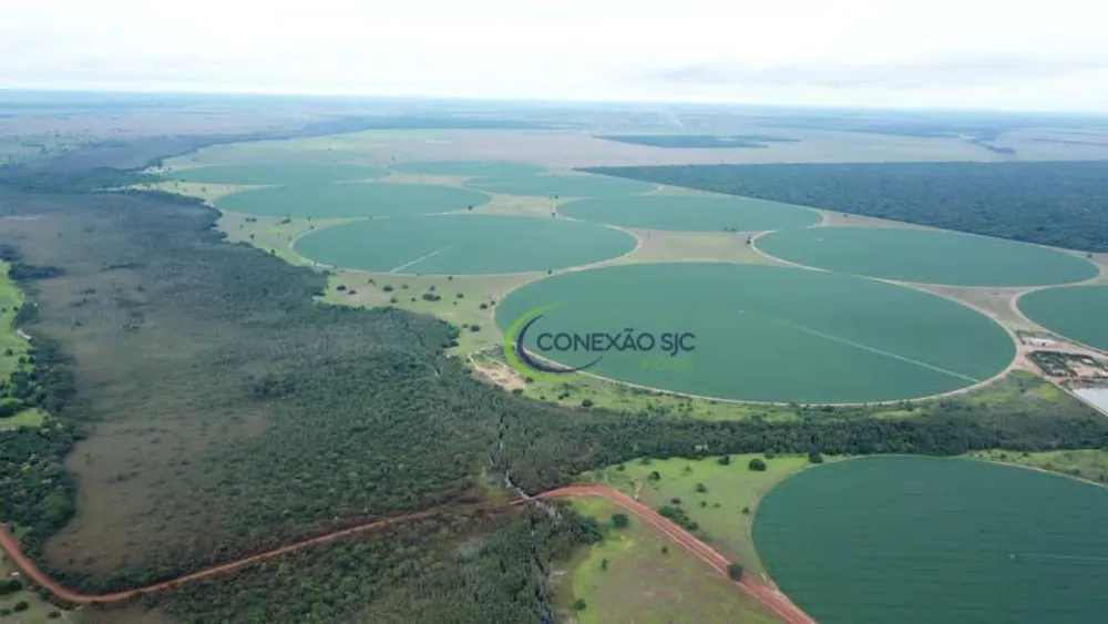 Fazenda, 5614 hectares - Foto 11