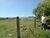Terreno, 270 hectares - Foto 2
