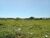Terreno, 270 hectares - Foto 1