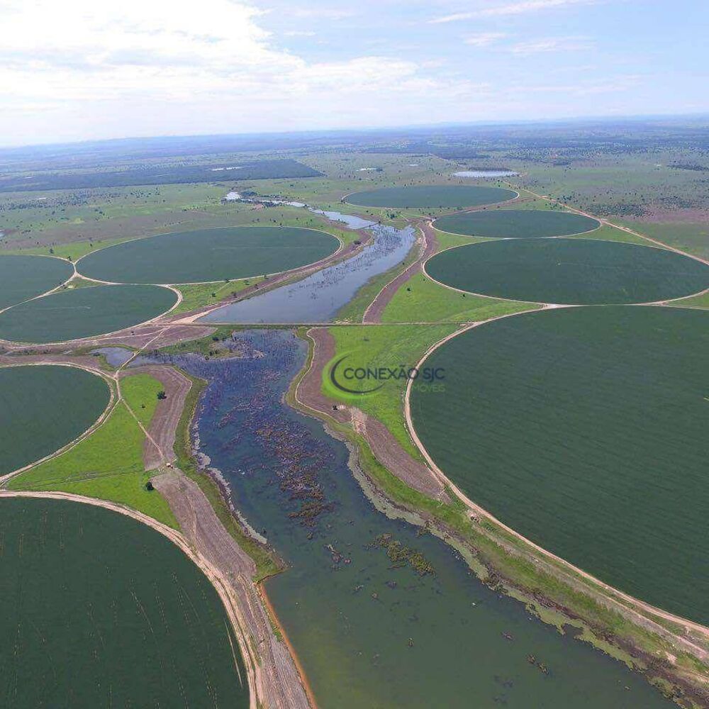 Fazenda à venda com 4 quartos, 56140000M2 - Foto 8