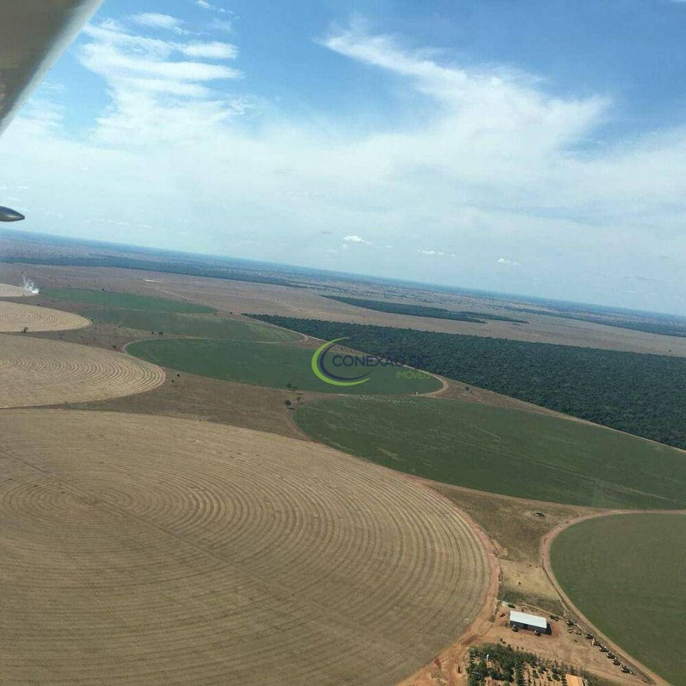 Fazenda à venda com 4 quartos, 56140000M2 - Foto 6
