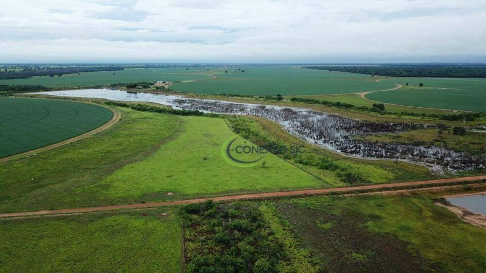 Fazenda à venda com 4 quartos, 56140000M2 - Foto 17
