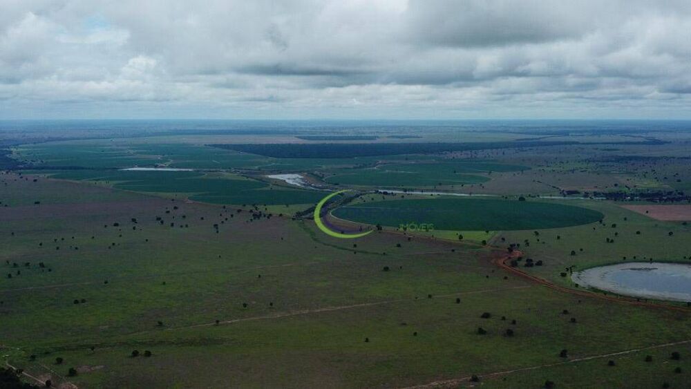 Fazenda à venda com 4 quartos, 56140000M2 - Foto 1