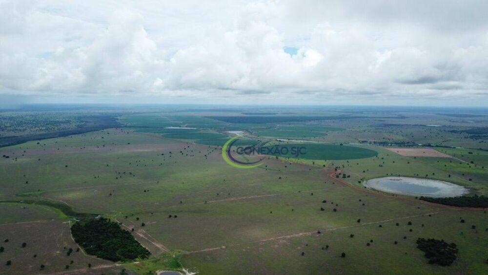 Fazenda à venda com 4 quartos, 56140000M2 - Foto 12