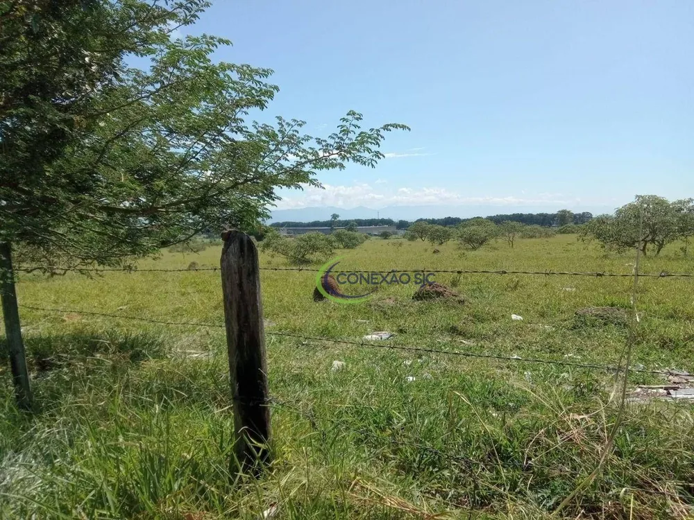 Terreno, 270 hectares - Foto 3