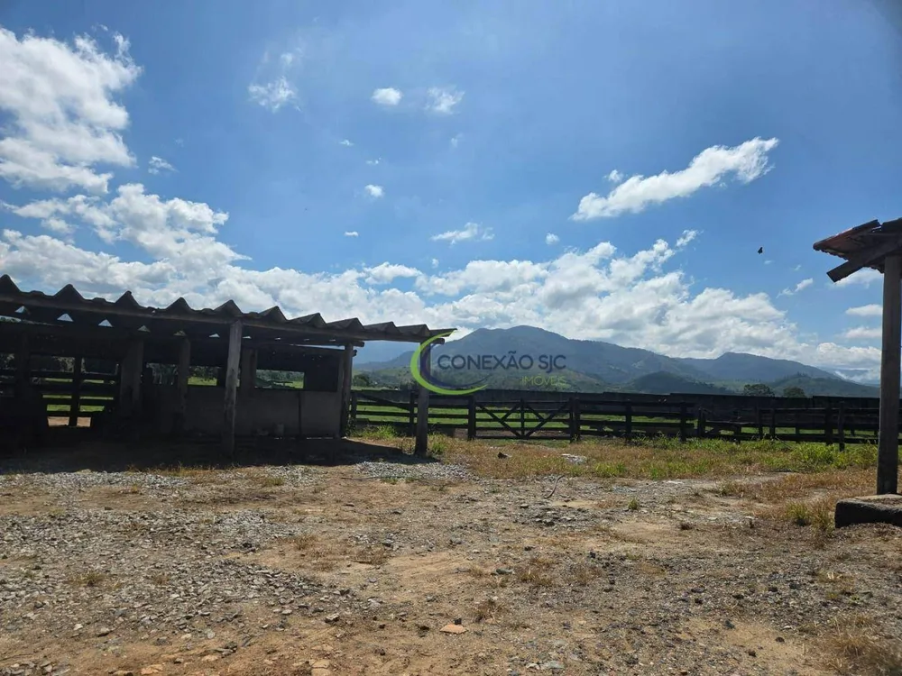Fazenda, 48 hectares - Foto 8