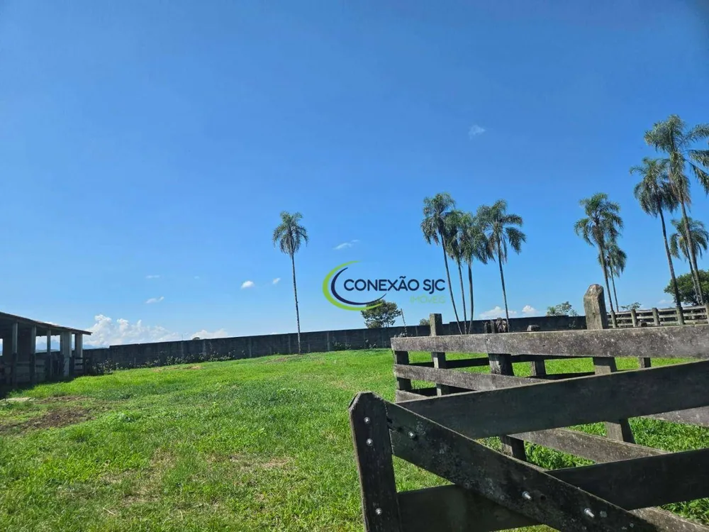 Fazenda, 48 hectares - Foto 16