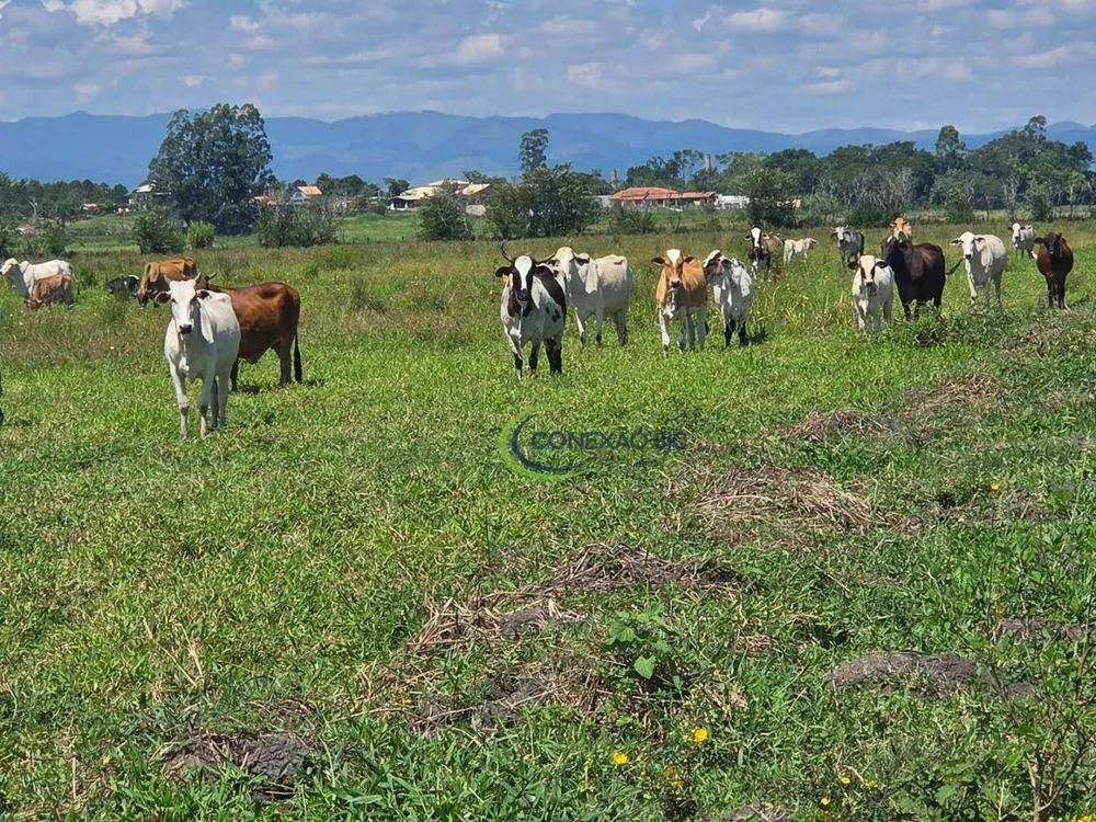 Fazenda, 48 hectares - Foto 1