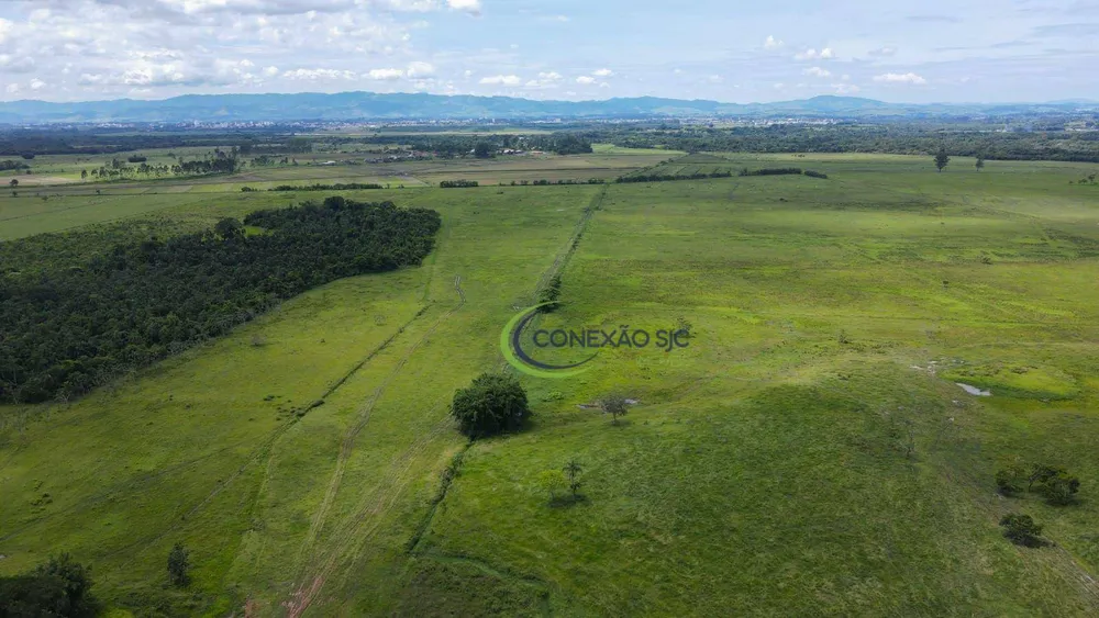 Fazenda, 48 hectares - Foto 4