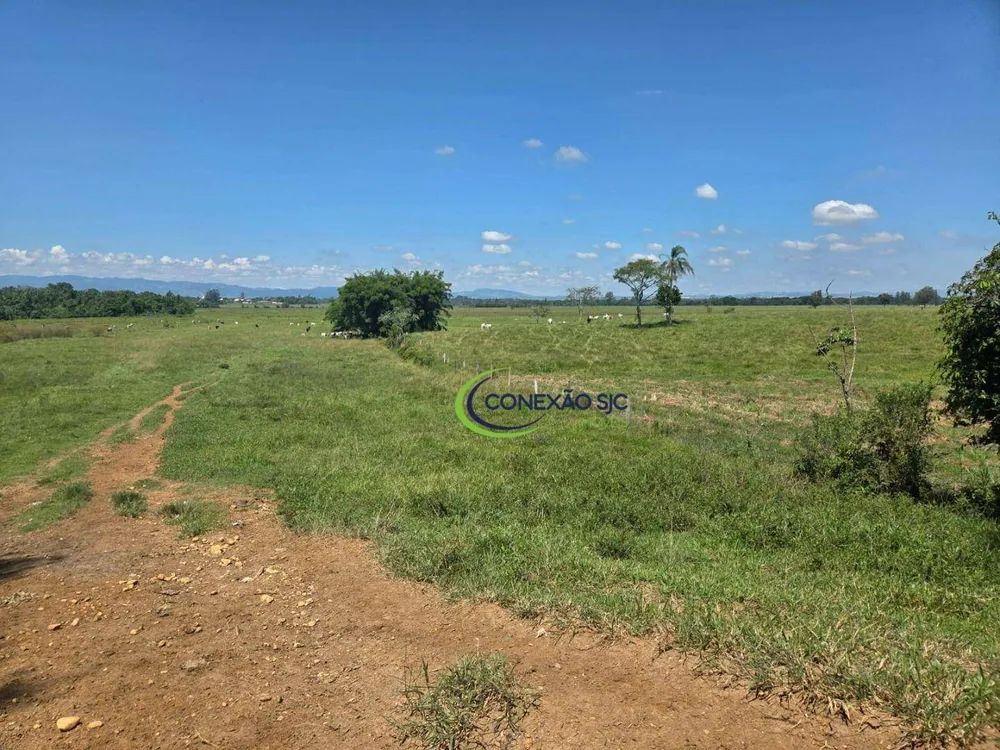Fazenda, 48 hectares - Foto 11