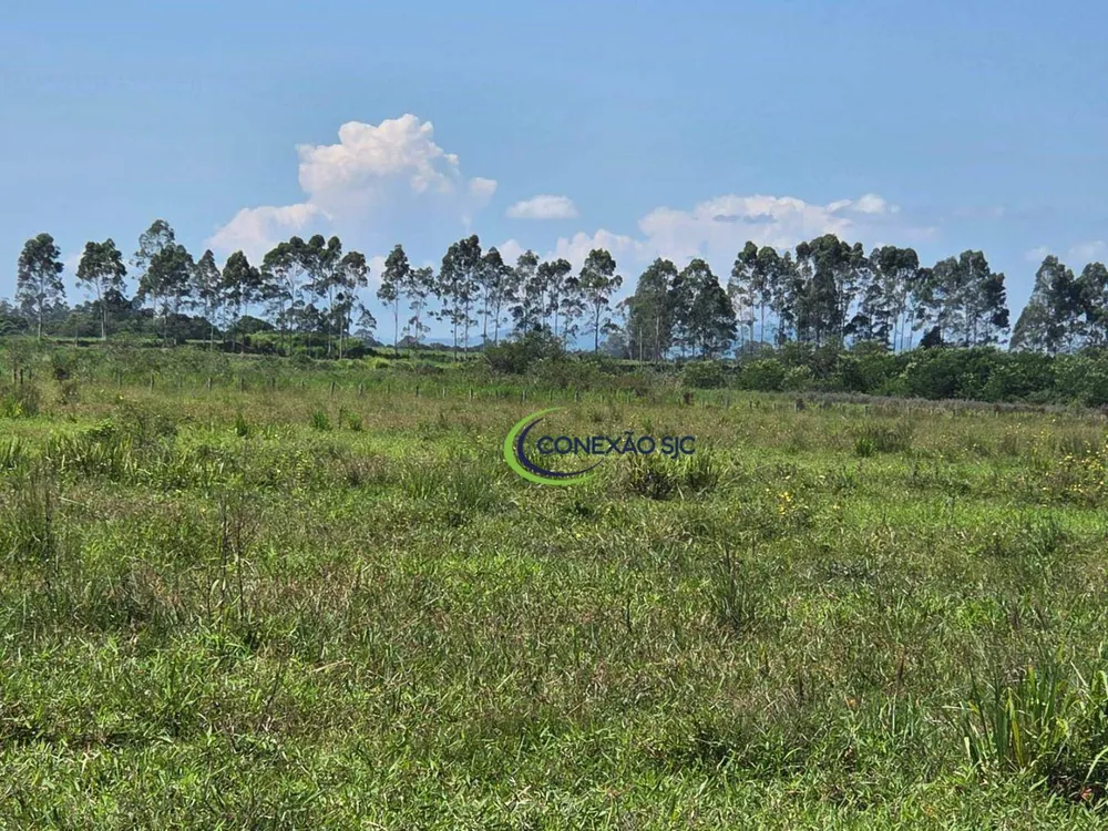 Fazenda, 48 hectares - Foto 15