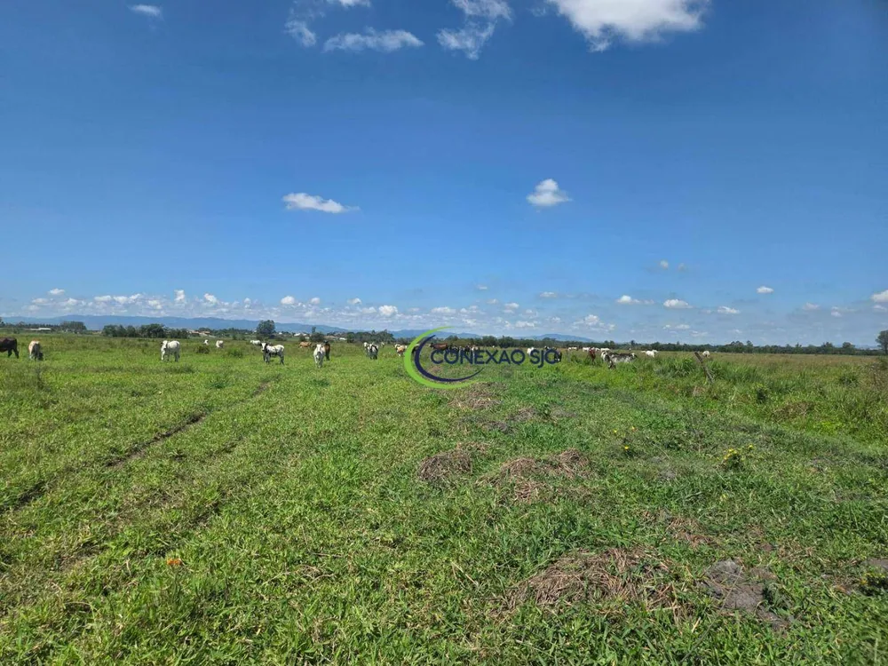 Fazenda, 48 hectares - Foto 13