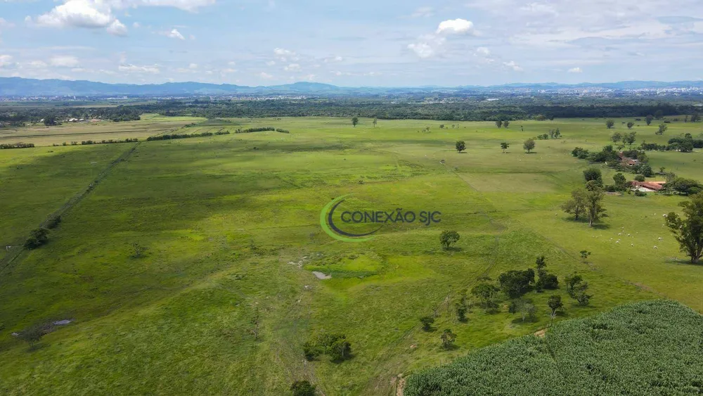 Fazenda, 48 hectares - Foto 6