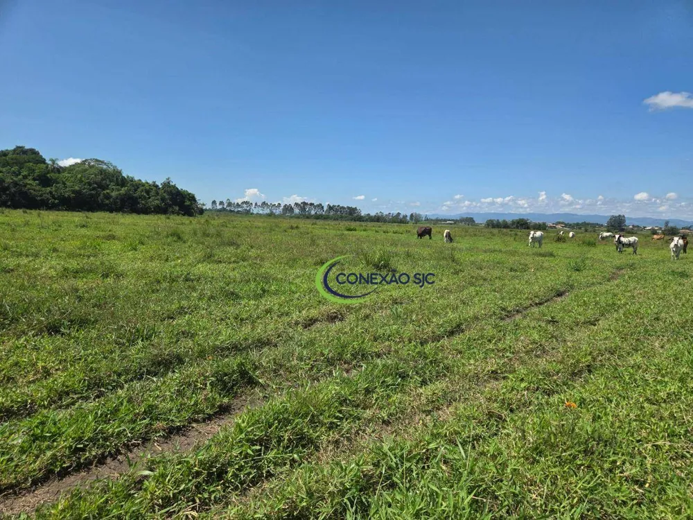 Fazenda, 48 hectares - Foto 14