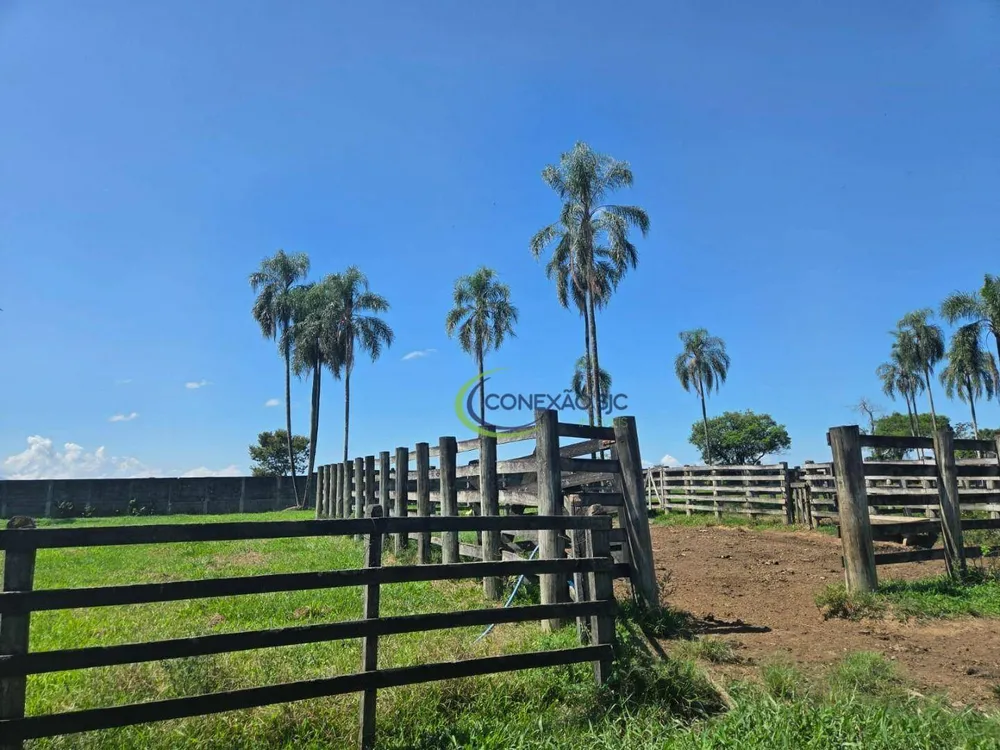 Fazenda, 48 hectares - Foto 10