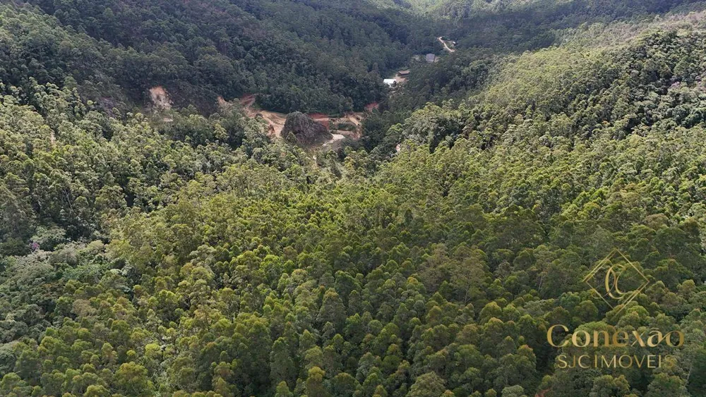 Fazenda, 240 hectares - Foto 12
