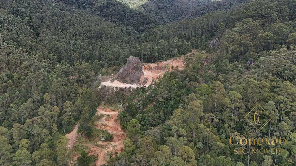 Fazenda, 240 hectares - Foto 2