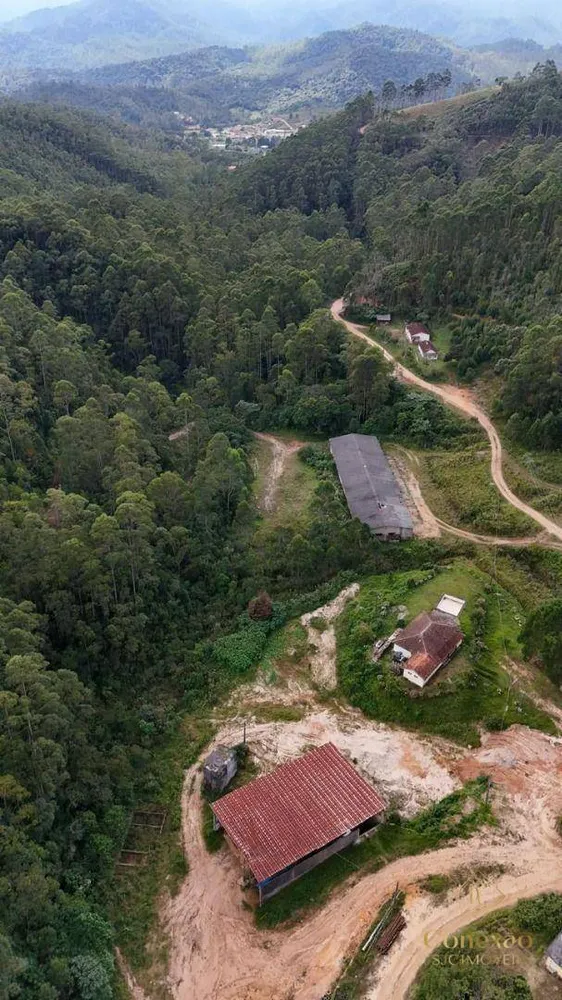 Fazenda, 240 hectares - Foto 4