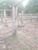 Fazenda, 2889 hectares - Foto 4