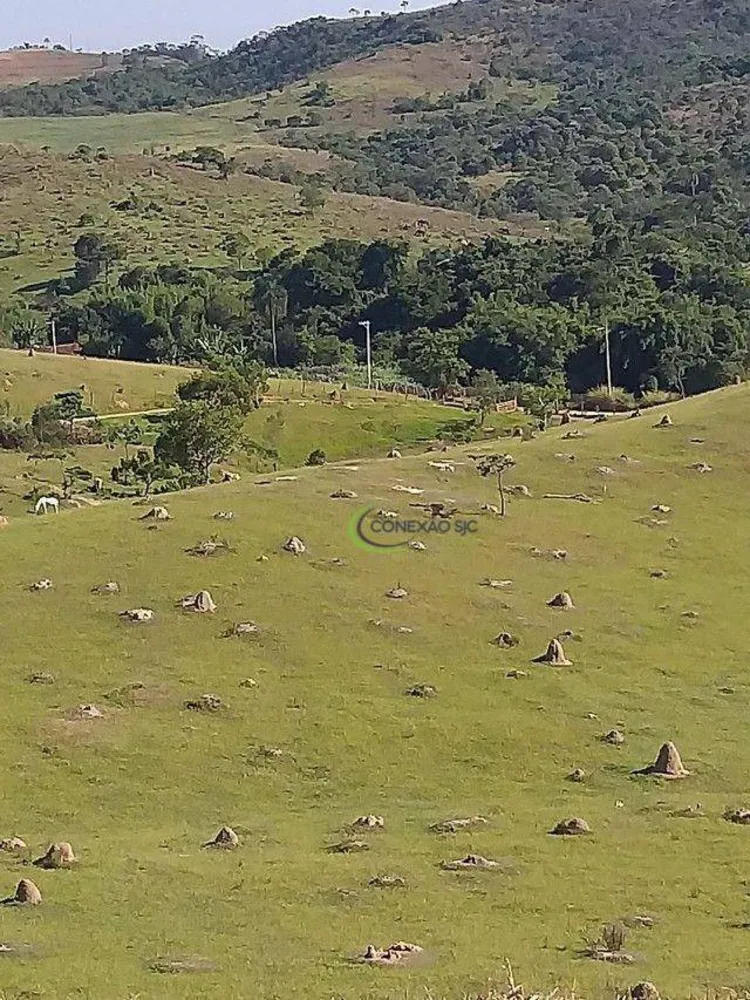 Sítio, 65 hectares - Foto 8