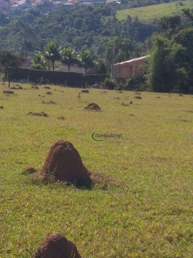 Sítio, 65 hectares - Foto 2