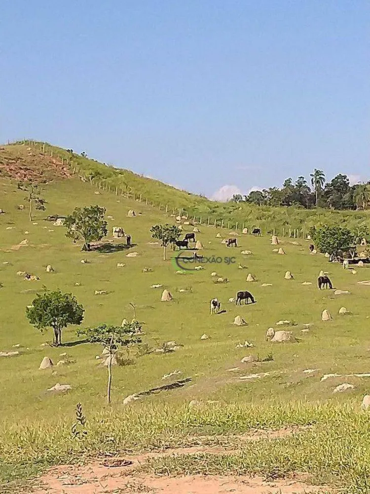 Sítio, 65 hectares - Foto 6