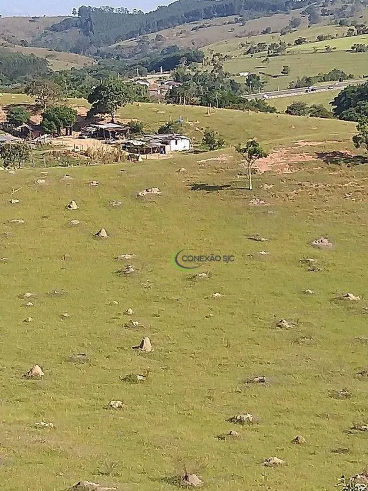 Sítio, 65 hectares - Foto 1