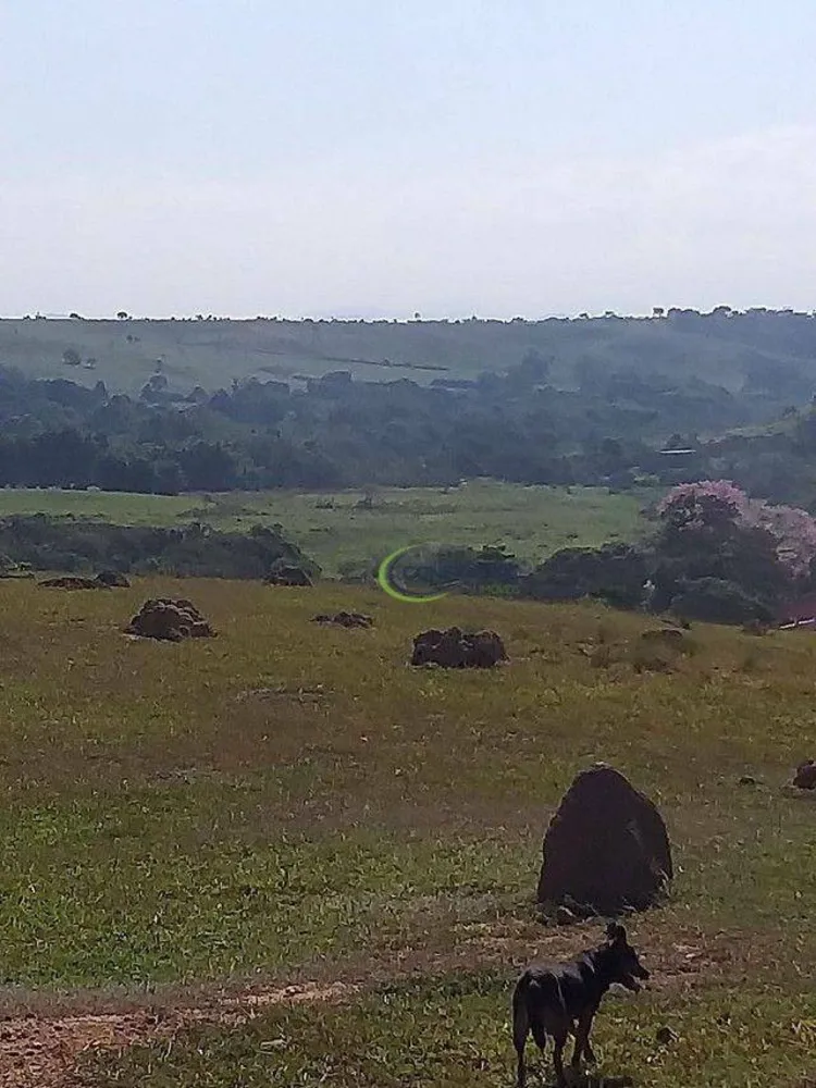 Sítio, 65 hectares - Foto 4