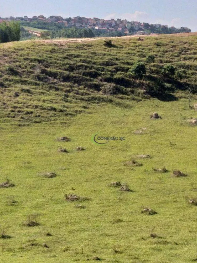 Sítio, 65 hectares - Foto 7