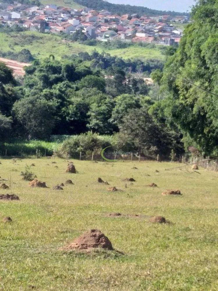 Sítio, 65 hectares - Foto 3