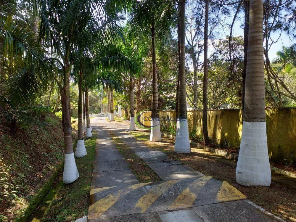 Chácara, 3 quartos, 537 hectares - Foto 14