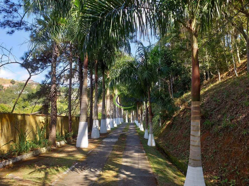 Chácara, 3 quartos, 537 hectares - Foto 16
