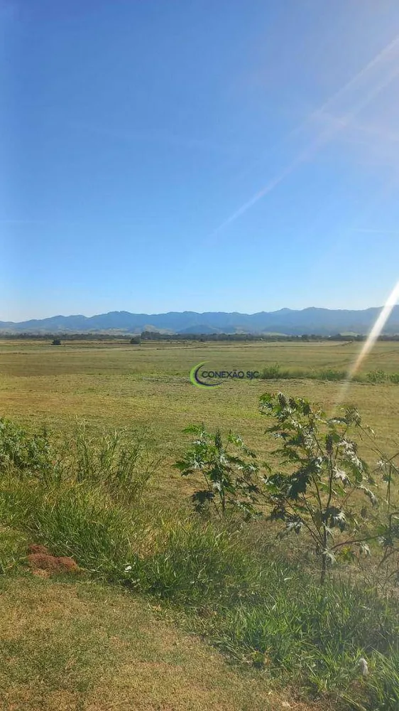 Terreno, 60 hectares - Foto 7