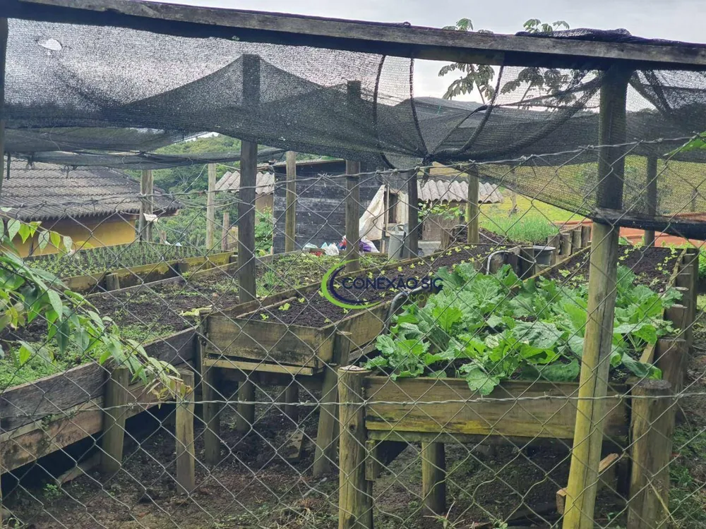 Sítio, 3 quartos, 29 hectares - Foto 4