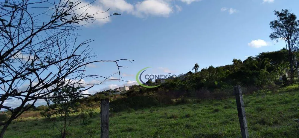 Terreno, 5 hectares - Foto 1