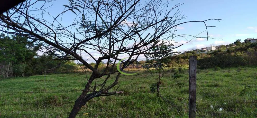 Terreno, 5 hectares - Foto 4