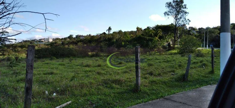 Terreno, 5 hectares - Foto 3