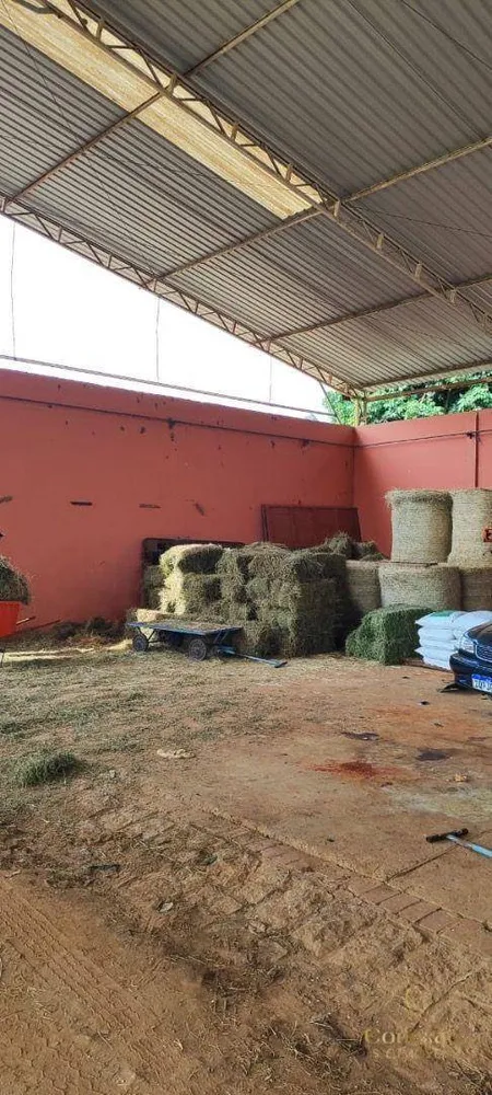 Fazenda, 136 hectares - Foto 6
