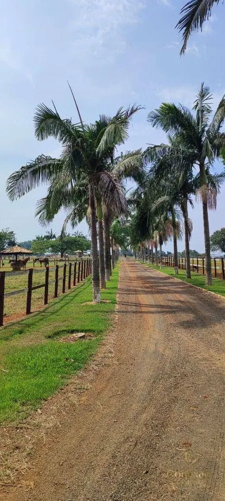 Fazenda, 136 hectares - Foto 13