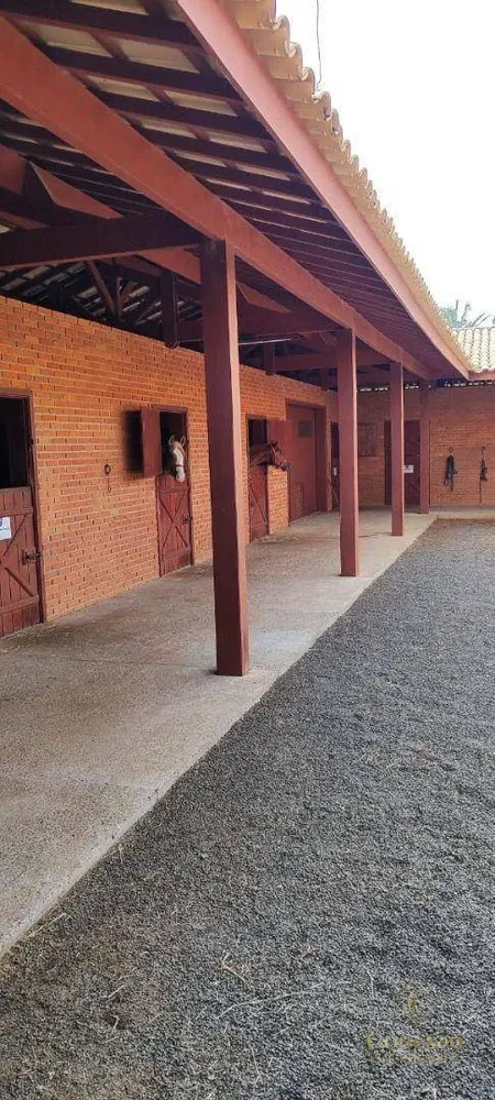Fazenda, 136 hectares - Foto 11