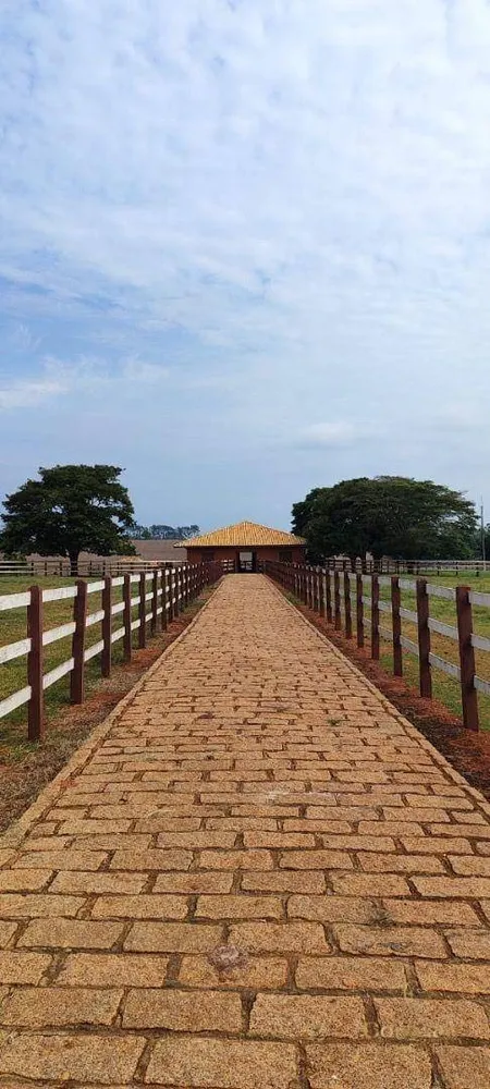 Fazenda, 136 hectares - Foto 16