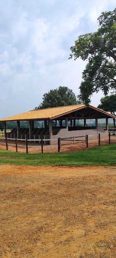Fazenda, 136 hectares - Foto 10