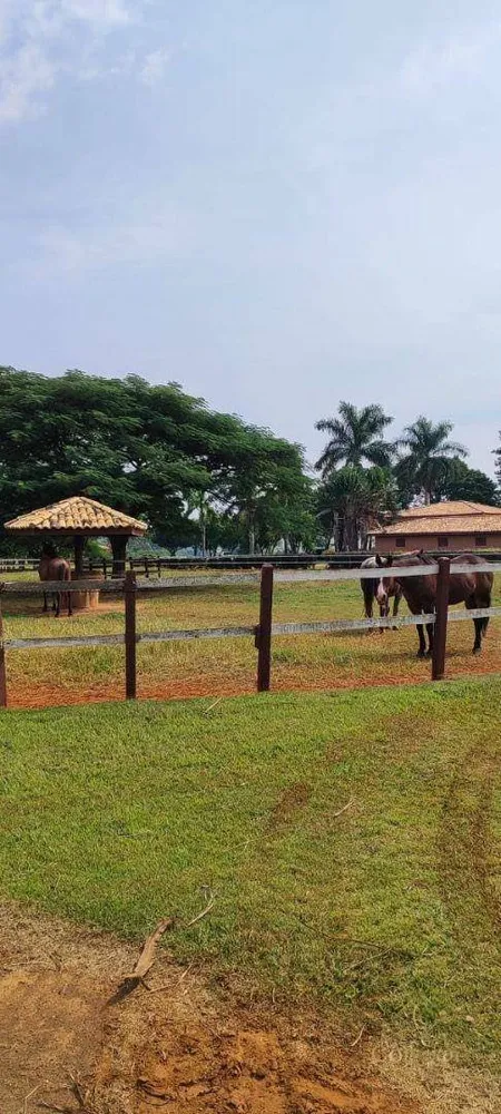 Fazenda, 136 hectares - Foto 4