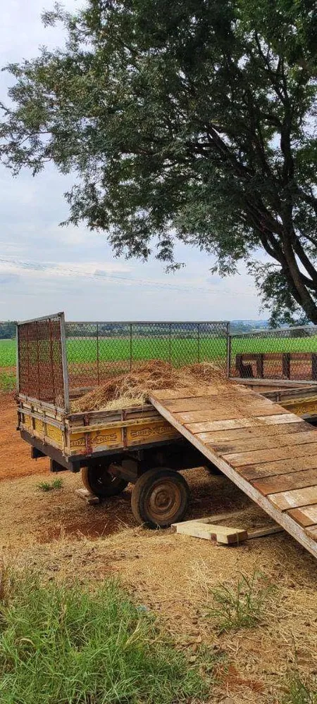Fazenda, 136 hectares - Foto 14