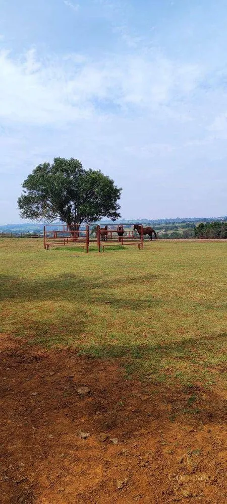 Fazenda, 136 hectares - Foto 5